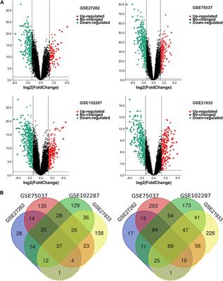 Identification and validation of novel prognostic biomarkers and therapeutic targets for non-small cell lung cancer